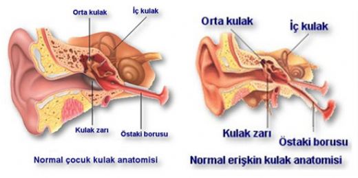Kulak İltihabı İlaçları