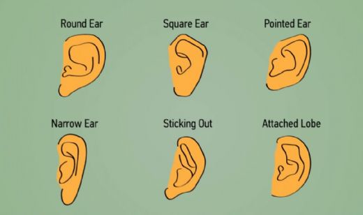 Kulak Şekilleri